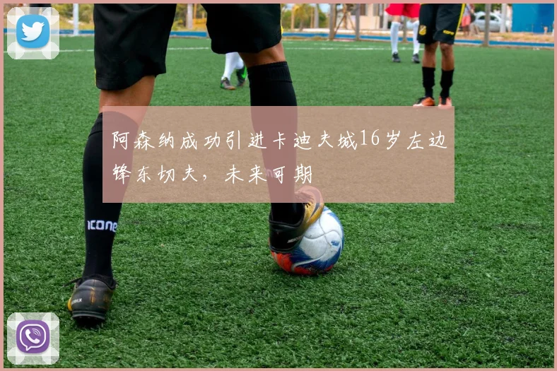 阿森纳成功引进卡迪夫城16岁左边锋东切夫，未来可期